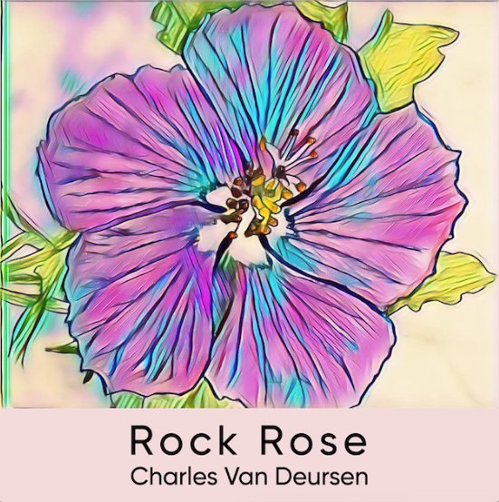 Rock Rose Album Cover, by Charles Van Deursen Rock Rose Album Cover, by Charles Van Deursen